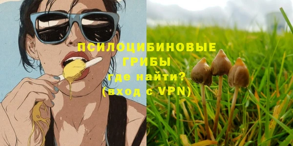 шишки Мегион
